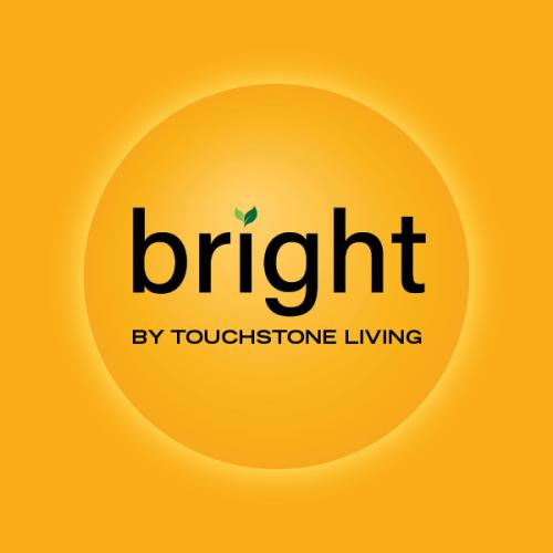 Bright Program